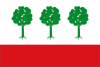 Flag of Olombrada
