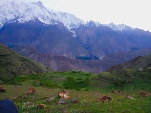 Bar ter nagar valley