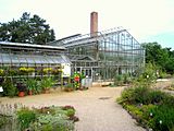 Botanischer Garten der TU Darmstadt - IMG 7032