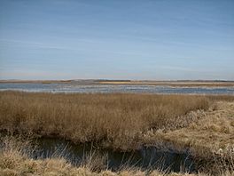 Cheyenne Bottoms.jpg