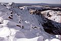 Cradle Mountain - 5