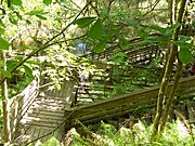 Boardwalk at Devil's Millhopper