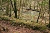 Duloe, West Looe River - geograph.org.uk - 138444.jpg