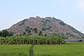 Gingee Fort Hill view from road