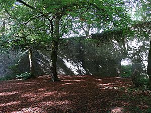 Gunposder Mills, Ballincollig, Co. Cork. Interior Circular Coal Store.