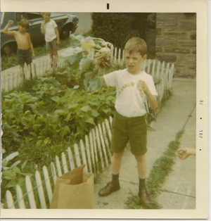 July 1970 kohlrabi harvest