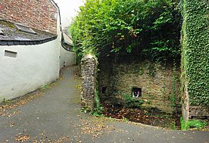 Leechwell, Totnes