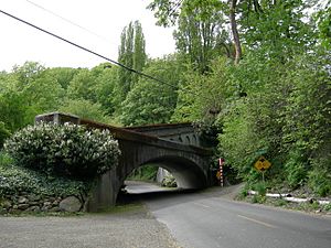 Leschi Park trolley bridge 01