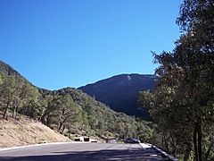 Madera Canyon Arizona