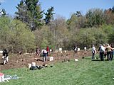 MarkhamTreePlanting