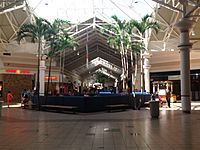 Midland Mall court.jpg