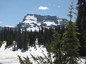 MountCuster-s01.jpg