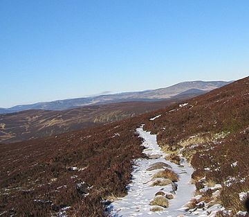 Mounth Road - geograph.org.uk - 115988.jpg