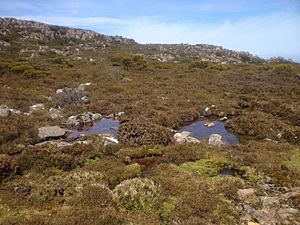 Mt Barrow Tarns