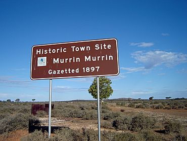 Murrin Murrin, Western Australia.jpg