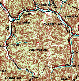 Panther rosette stream pattern