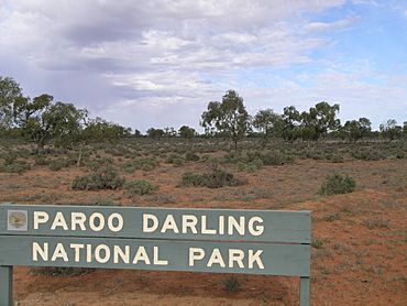 Paroo Darling NP.JPG