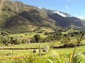 Pequeñas fincas en la montaña