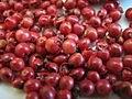 Pink Peppercorns (Schinus terebinthifolius)