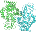 Pyruvate Kinase 1A3W wpmp