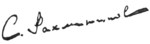 Rachmaninoff signature 1899 (transparent).png