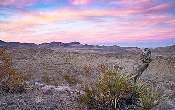 Rodman Mountains Wilderness.jpg