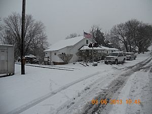 Shirley's House at Wadesville Station