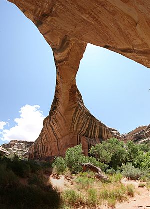 Sipapu Bridge 4