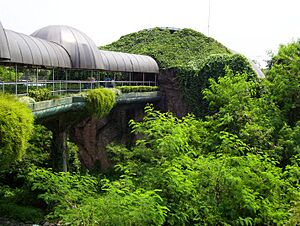 Smutzer Primate Center Terrace