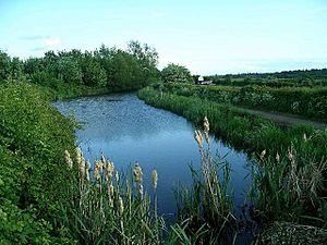 The Nottingham Canal - geograph.org.uk - 177080