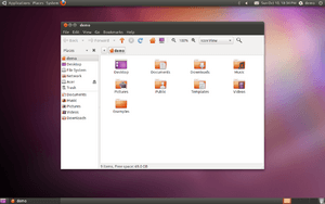 Ubuntu 10.10