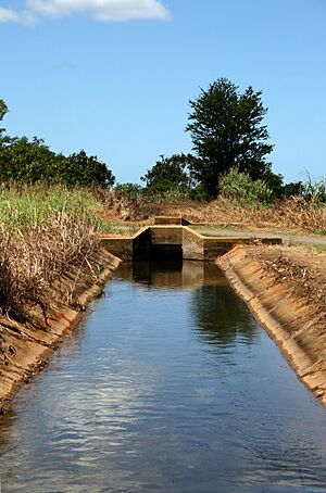 Waterway in Puerto Rico