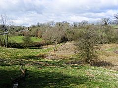 Windsor Hill Marsh.jpg