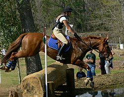 07-03-10 HorseTrials23