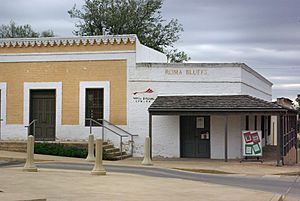 08a - ROMA , TX (3) (16632080606).jpg