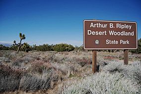 ArthurBRipleyDesertWoodlandStatePark.JPG