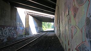 Beneath the Mass Pike