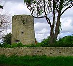 Birney Hill Mill.jpg