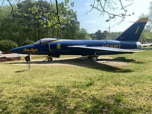 Blue Angels Grumman Tiger