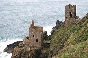 Crowns engine houses, Botallack.jpg