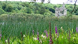 Dromore Castle lakeview