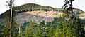 Gordon River Clearcut