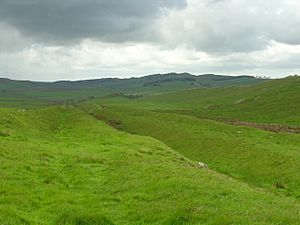 Hadrian's Wall Vallum - 2007-05-19