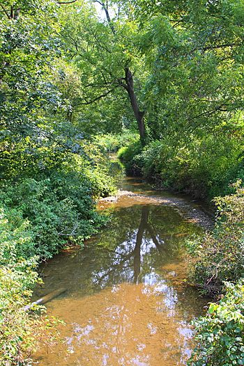 Hallowing Run looking downstream.JPG