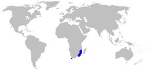 Holohalaelurus punctatus distmap.png