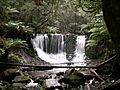 HorseshoeFalls MtFieldNP Tasmania