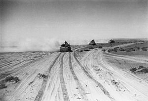 Italian semoventes in action