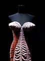 Jean-Paul Gaultier expo bustier