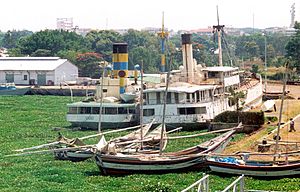 Kenya Kisumu Harbour Hyacinths 1997ke09b21