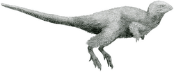 Kulindadromeus by Tom Parker.png